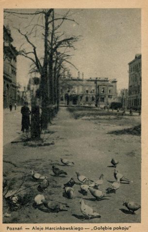 Poznań 1945  na fotografiach  Zbigniewa Zielonackiego – pocztówka 13 z 67